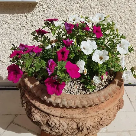 Holiday home Trullo Giulia
